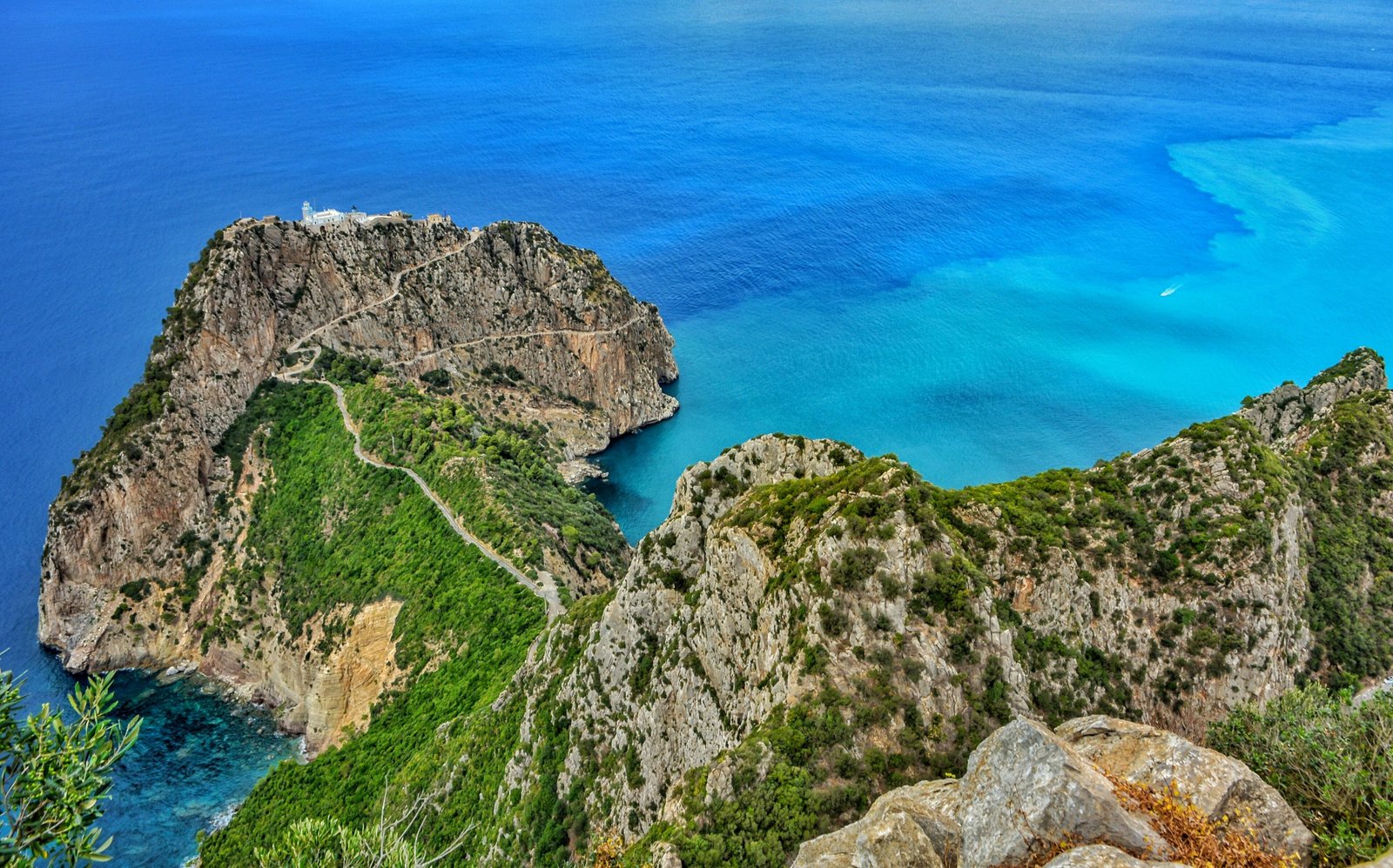 bejaia cap carbon